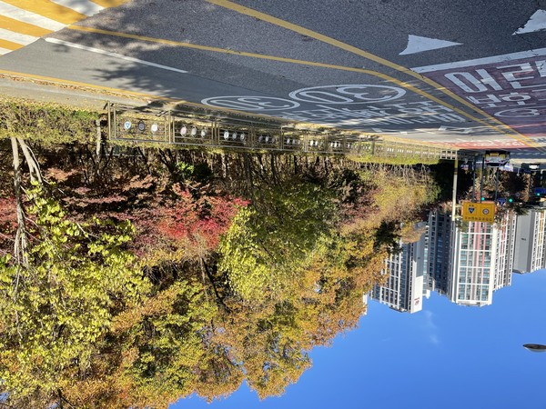 신본동 도서관 건립 예정부지 전경(자료제공=용인시)