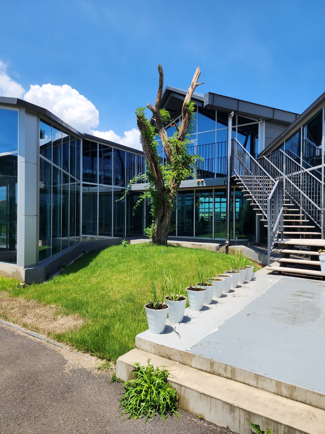 카페동 중정(사진=라영희)