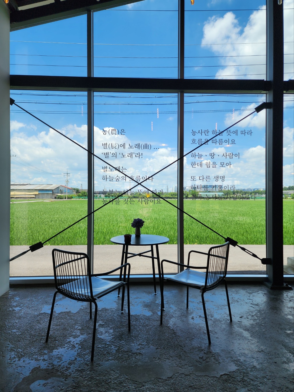 카페 내부(사진=라영희)