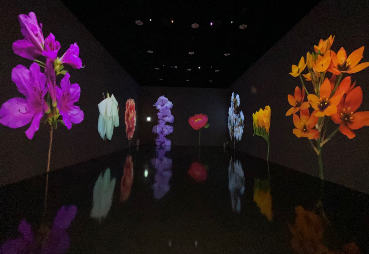 〈플라워(FLOWER)〉이희원 작가(사진=고성철)