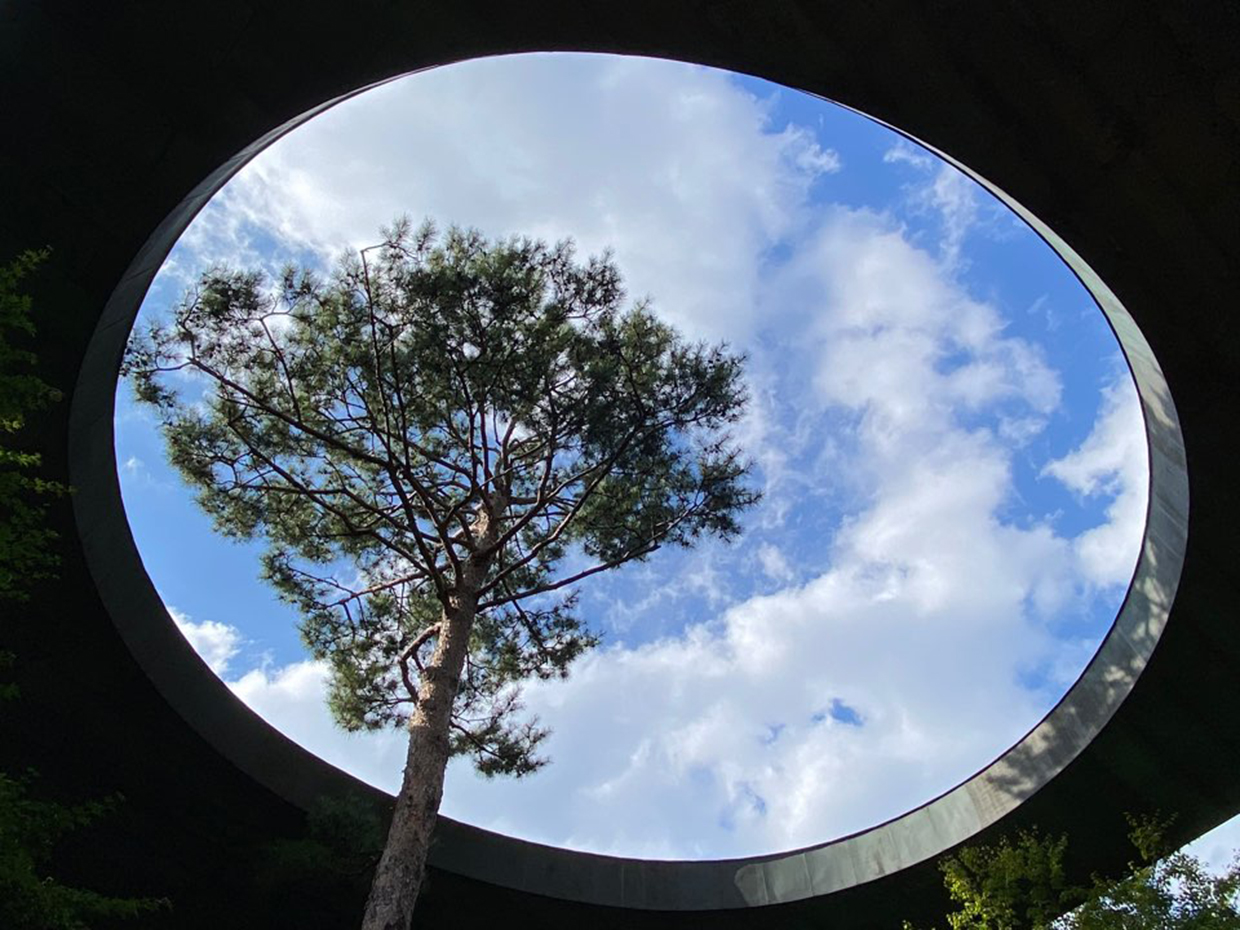 자연생태관 지붕(사진=고성철)