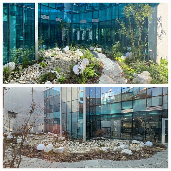 계절변화에 따른 중정 조경 모습(위사진=김종호, 아래사진=황윤철)