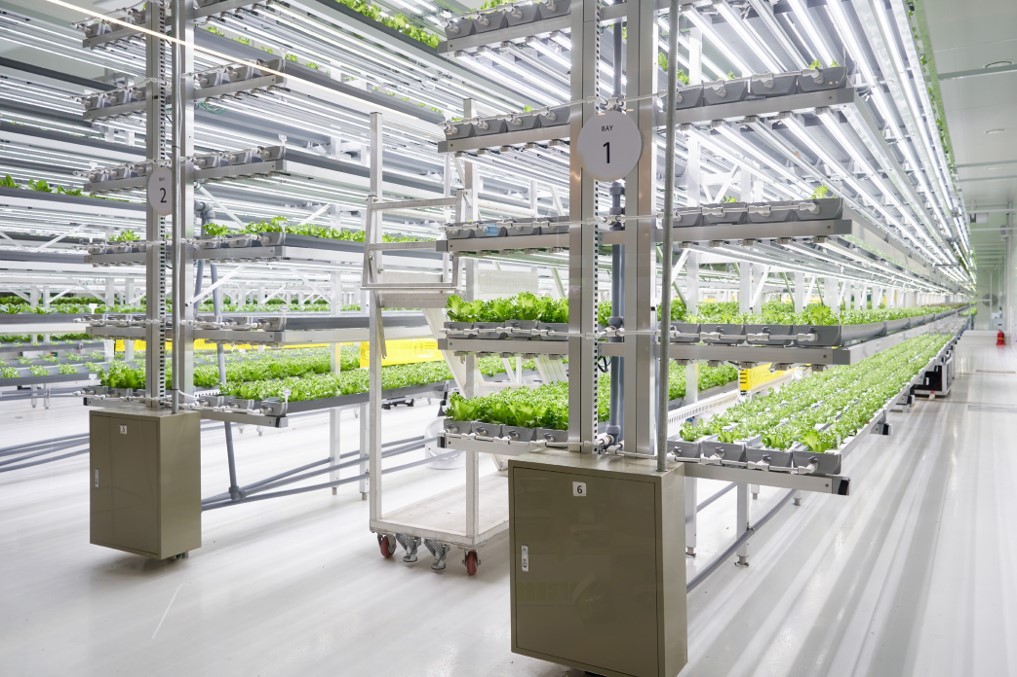 (자료제공=용인특례시)