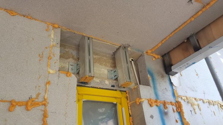 (자료제공=티푸스코리아)