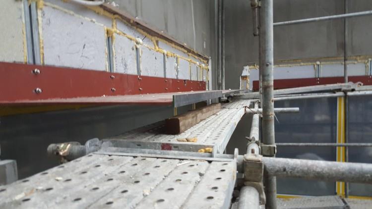 (자료제공=티푸스코리아)