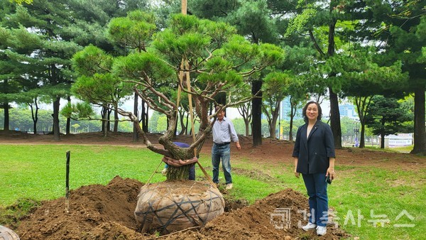 60주년 기념식수식(사진=안양지역건축사회)